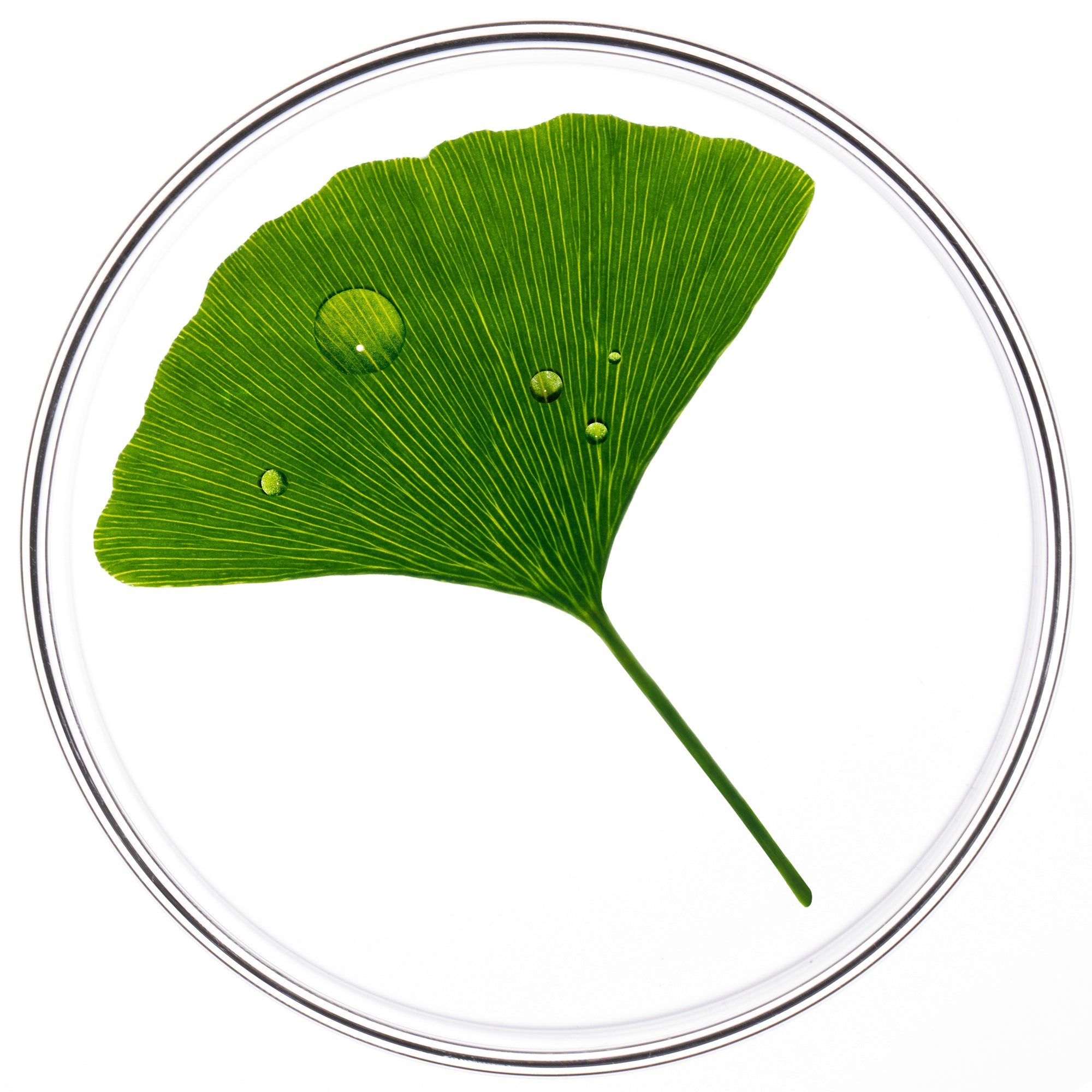 Imagen del producto Phytocyane Tratamiento Anticaída Reaccional Mujer 5Ml de Phyto Profesional